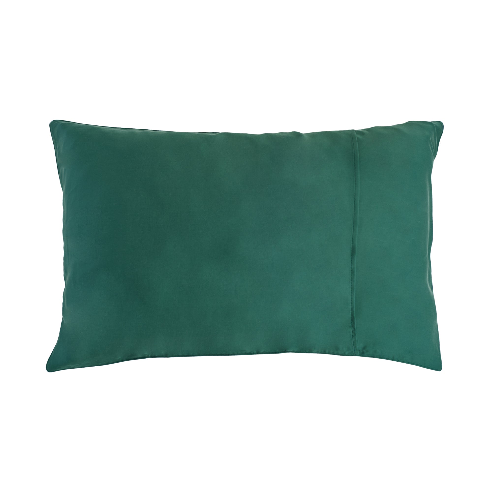 "Viva La Vida" 2-Piece Silk Pillowcase Gift Set - Green