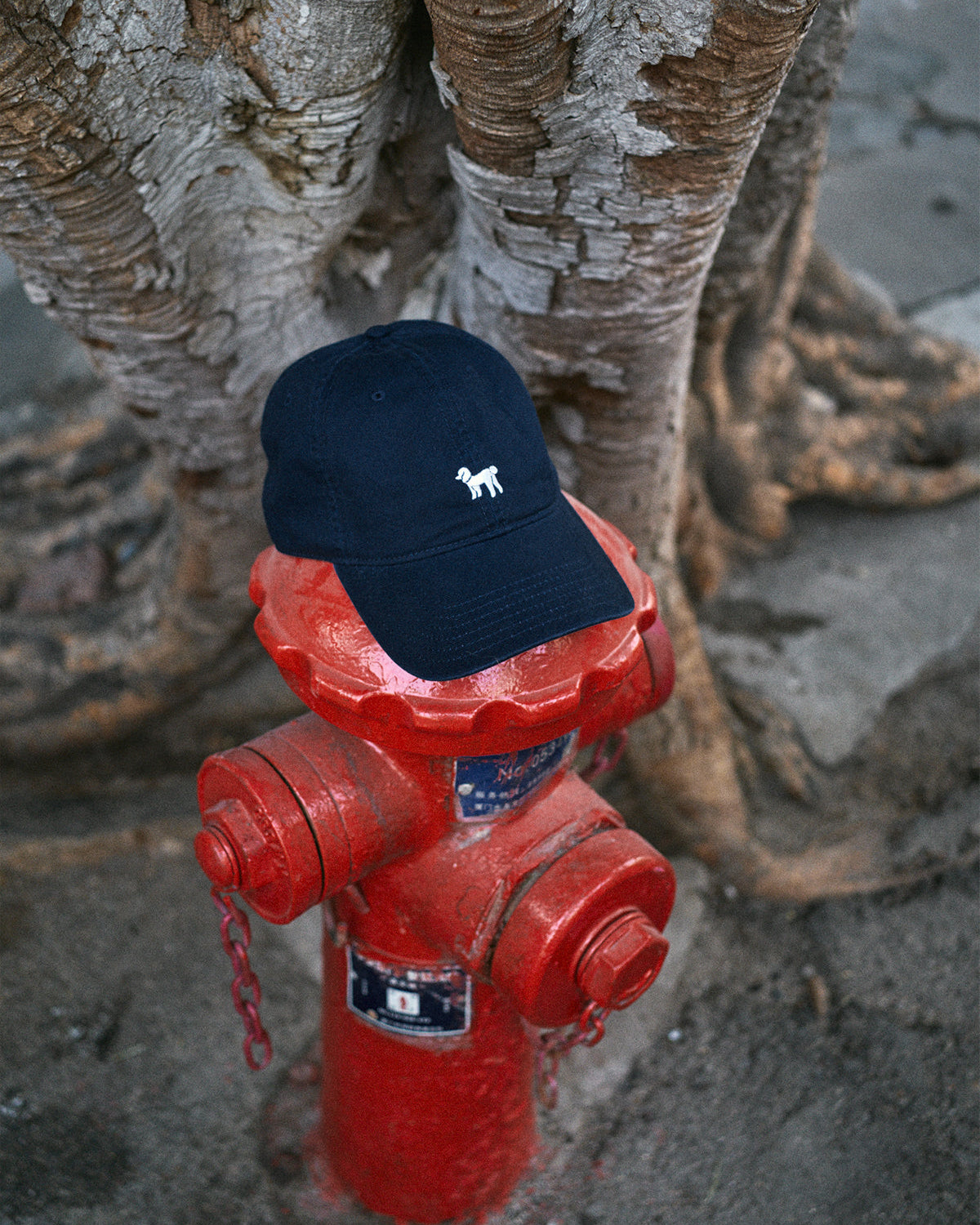 "Pan Pan" Baseball Cap - Deep Blue - Deep Blue - LOST PATTERN Hats