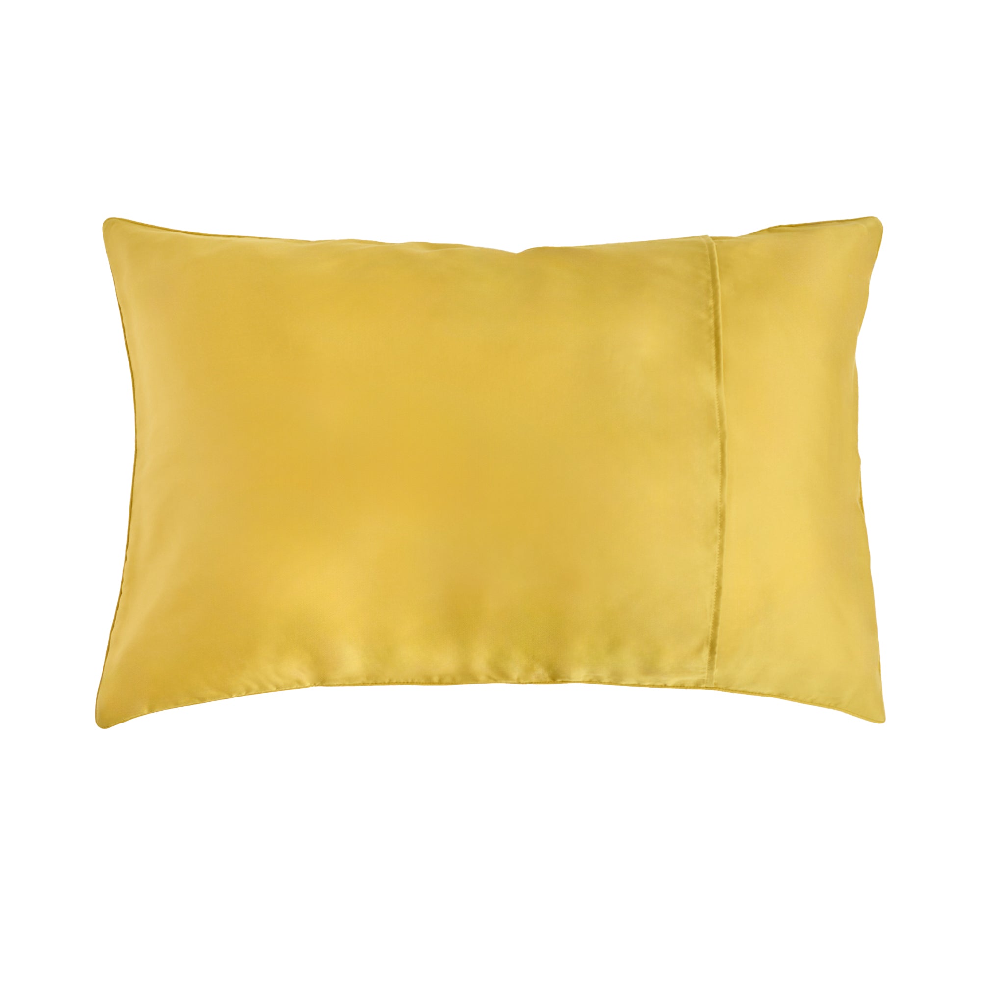 "Cactus" Silk Pillowcase - Beige
