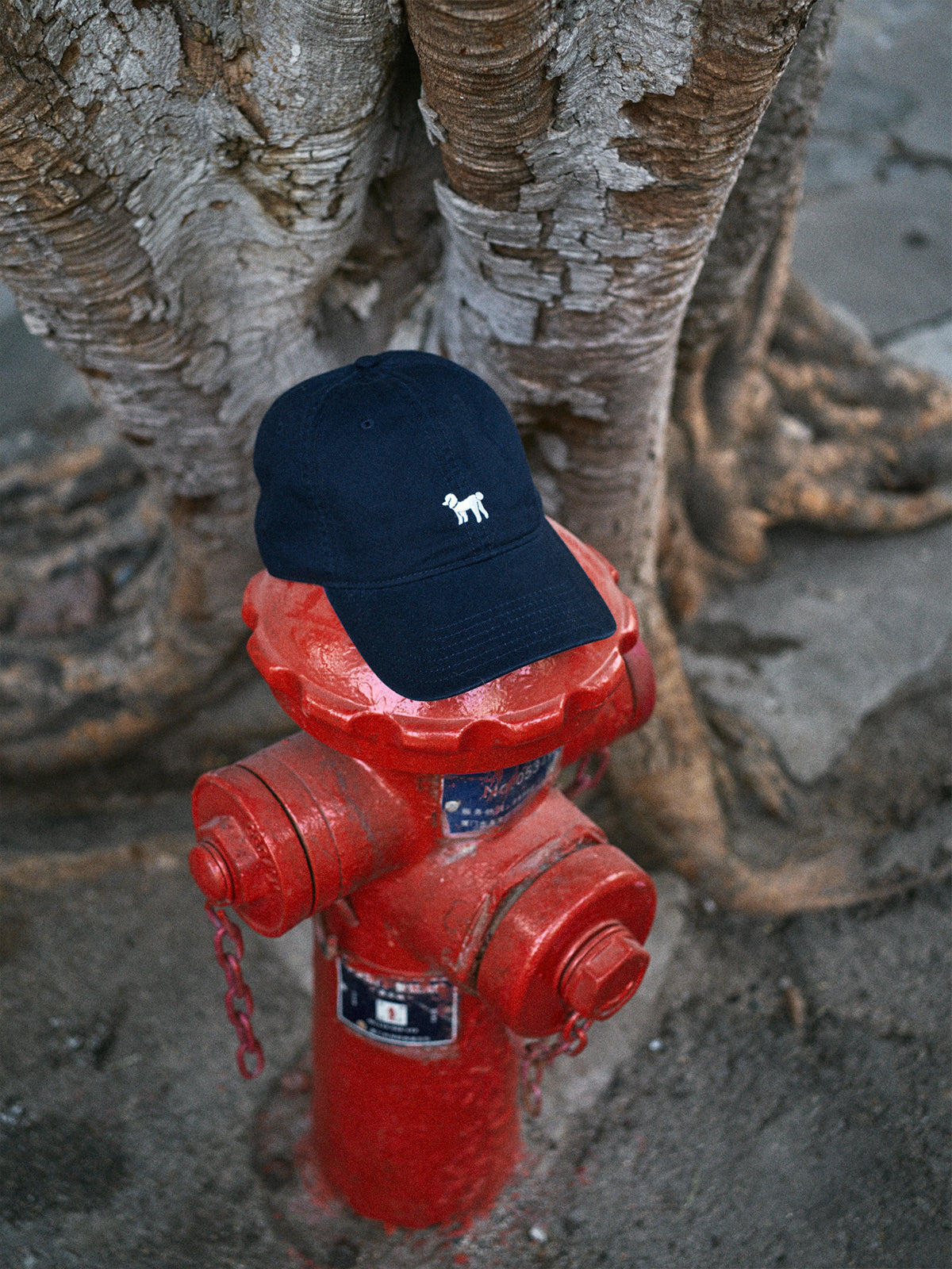 "Pan Pan" Baseball Cap - Deep Blue - Deep Blue - LOST PATTERN Hats