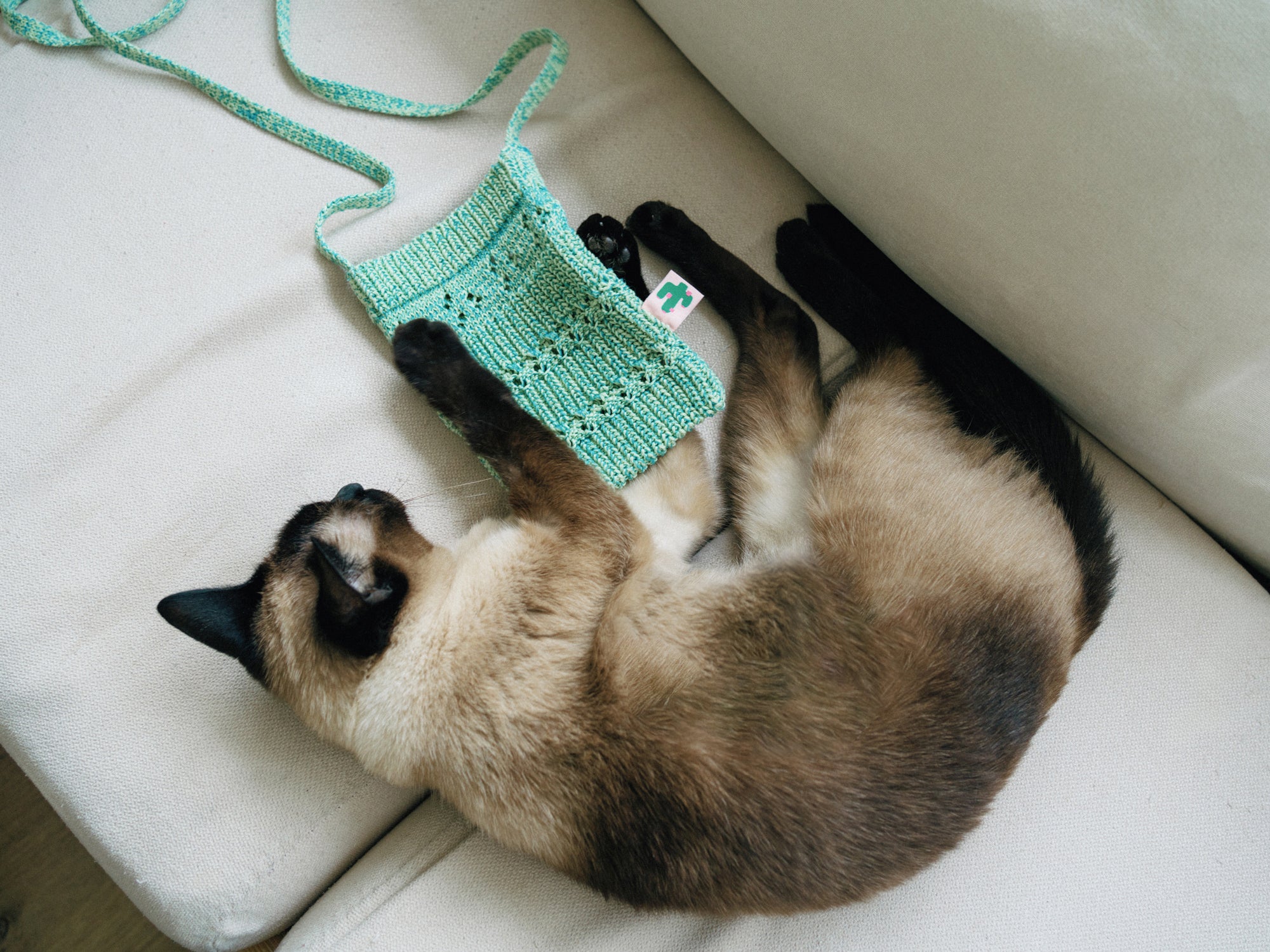 "Cactus" Crochet Crossbody Phone Bag - Peppermint